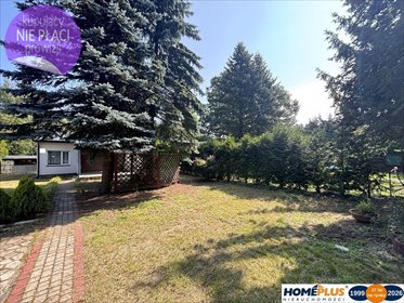 Polecam drewniany domek 45 m² z tarasem w Arciechowie dom Arciechów