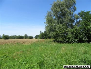 działka na sprzedaż 11940m2 działka Częstochowa, Brzeziny Wielkie