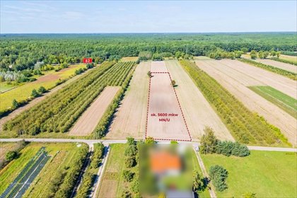 Sprzedam działkę inwestycyjną 5600 m² w Starym Orzechowie działka Stare Orzechowo