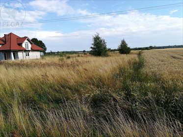 Działka budowlana na sprzedaż Żerniki 1 530m2 Foto 2
