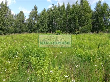 Działka 3005 m² z możliwością zabudowy w Żabiej Woli działka Oddział