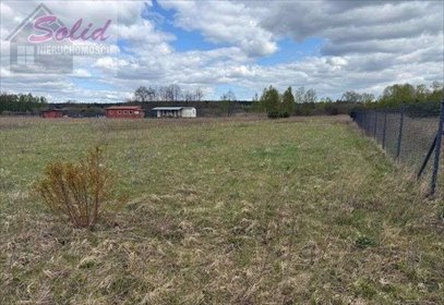 Polecam dwie działki 1540 i 1589 m² w Zuzinowie działka Zuzinów