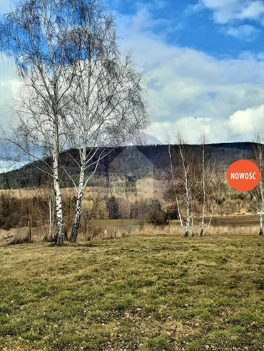 działka na sprzedaż 5844m2 działka Tąpadła