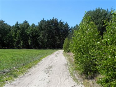 działka na sprzedaż 27955m2 działka Koniowo