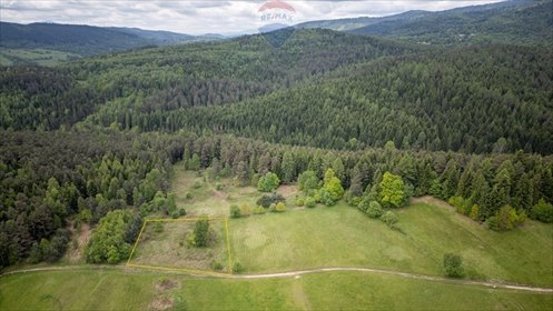 działka na sprzedaż 2991m2 działka Krzeszów