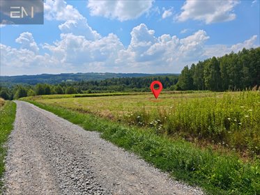 Działka 3 228 m² przy lesie - świetny dojazd i atrakcyjna cena działka Nawsie