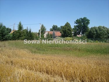 działka na sprzedaż 1500m2 działka Dobromierz, Szymanów