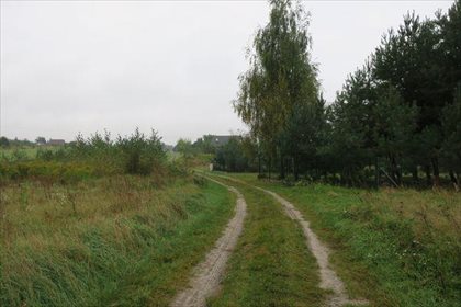 Działka budowlana na sprzedaż Ślepowron, Ślepowron 1 247m2 Foto 7