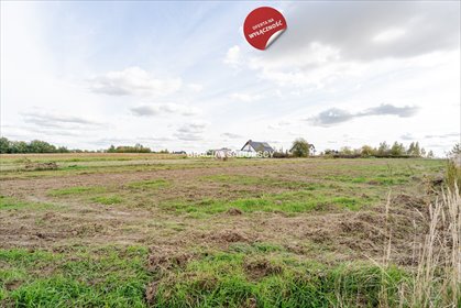 działka na sprzedaż 2500m2 działka Cholerzyn