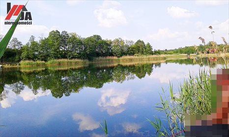 Działka rekreacyjna na sprzedaż Lutobórz 3 000m2 Foto 3