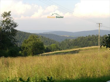 działka na sprzedaż 3418m2 działka Czaszyn, Brzozowiec