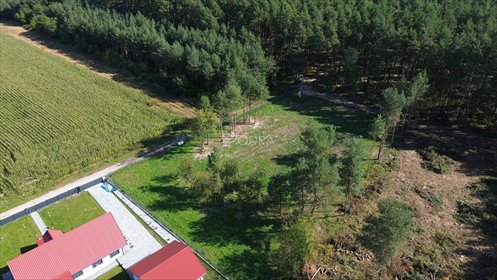 Sprzedam działkę 30 ar przy lesie w Minkowicach Oławskich działka Minkowice Oławskie