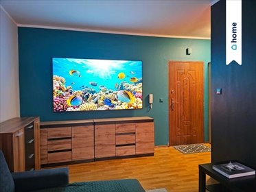 Wynajem 2-pokojowe mieszkanie 43 m² z balkonem i pełnym wyposażeniem zapraszam mieszkanie Włocławek, Celulozowa