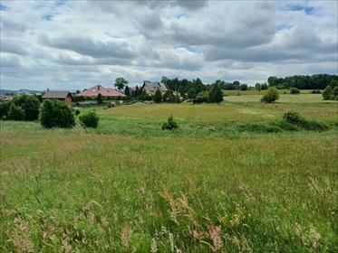 Na sprzedaż działka 1121 m² w Kameli z warunkami zabudowy działka Kamela, Wiktorii