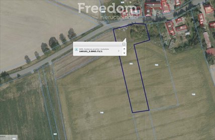 Działka budowlana na sprzedaż Strzegów 21 000m2 Foto 4