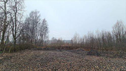 Działka komercyjna pod dzierżawę Rząska, Sucha 31 000m2 Foto 3