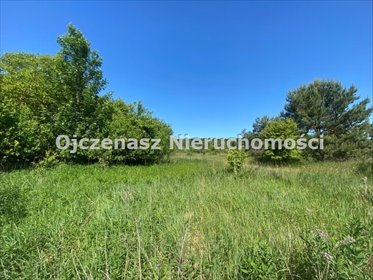 Sprzedam działkę 6800 m² w Dąbrowie Chełmińskiej działka Dąbrowa Chełmińska