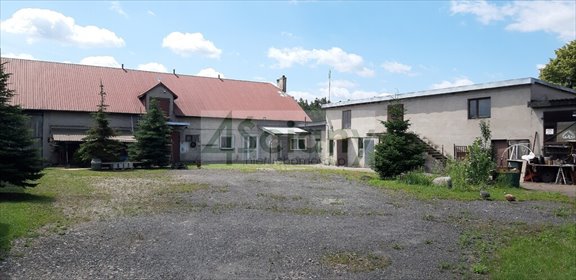 Działka 5600 m2 z mediami - las i zabudowa mieszkaniowa działka Nadarzyn