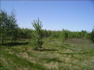 działka na sprzedaż 1311m2 działka Prażmów, Prażmów