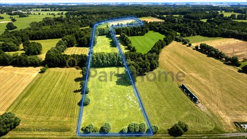 Na sprzedaż gospodarstwo 80,6 ha z domem i zabudowaniami działka Snowidowo