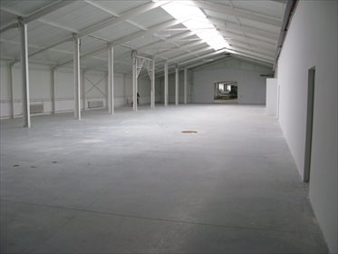 lokal użytkowy na sprzedaż 2650m2 lokal użytkowy Siedlęcin