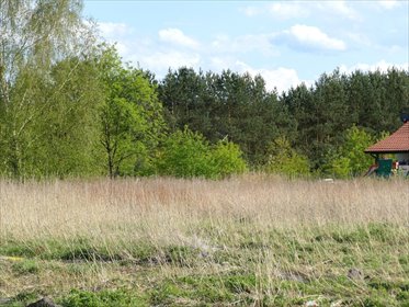 działka na sprzedaż 3342m2 działka Szczecin, Wielgowo, Jałowcowa
