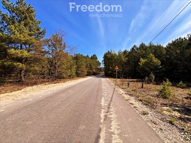 Polecam działkę 4239 m² w Kalinowie z lasem i dostępem do natury działka Kalinowo