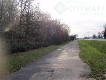 Działka inwestycyjna na sprzedaż Warszawa, Białołęka, Wiśniewo 87 000m2 Foto 3