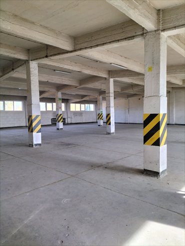 Magazyn 1168 m² z rampą i placem w Sosnowcu magazyn Sosnowiec, Pogoń, Ptasia