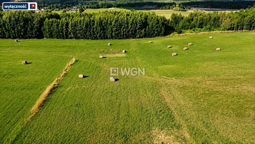 Działka 1000 m² w sercu Mazur Garbatych, Liski działka Liski