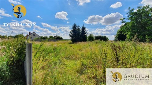Działka budowlana na sprzedaż Gnojewo 1 000m2 Foto 5