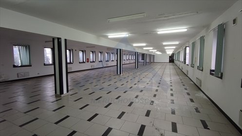 lokal użytkowy na wynajem 1638m2 lokal użytkowy Piastów
