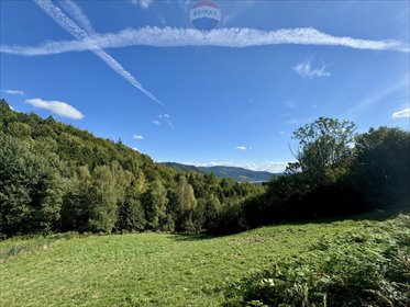 działka na sprzedaż 3107m2 działka Międzybrodzie Bialskie