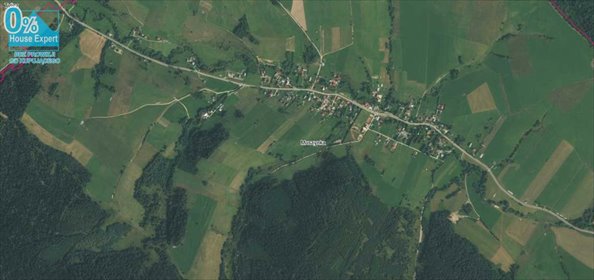 działka na sprzedaż 3000m2 działka Krynica-Zdrój