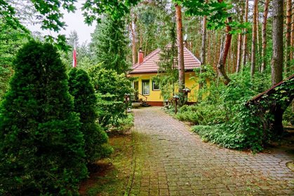 dom na sprzedaż 110m2 dom Borsuki-Kolonia