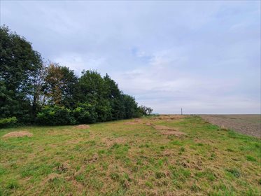 Działka budowlana na sprzedaż Suszki 1 171m2 Foto 5