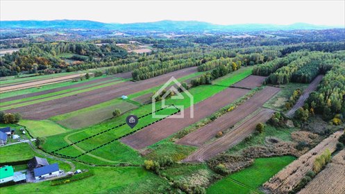 działka na sprzedaż 4200m2 działka Królówka