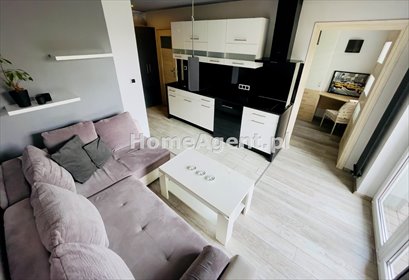 mieszkanie na wynajem 31m2 mieszkanie Katowice