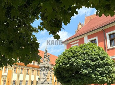 mieszkanie na wynajem 100m2 mieszkanie Wrocław, Śródmieście, Katedralna