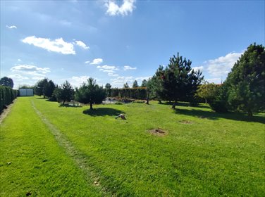 działka na sprzedaż 4465m2 działka Żyrzyn