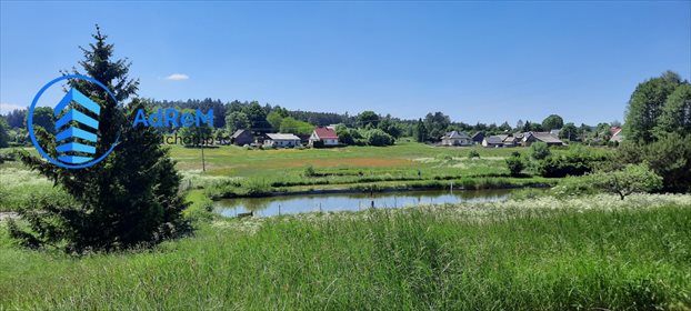 Działka rolna na sprzedaż Rybniki 6 410m2 Foto 3