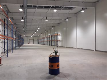 lokal użytkowy na wynajem 3900m2 lokal użytkowy Radom