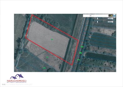 Działka rolna na sprzedaż Suchy Grunt 11 600m2 Foto 3