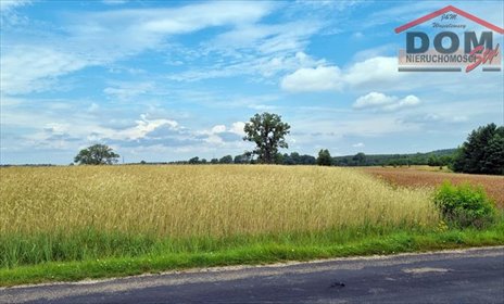 działka na sprzedaż 13800m2 działka Stara Korytnica