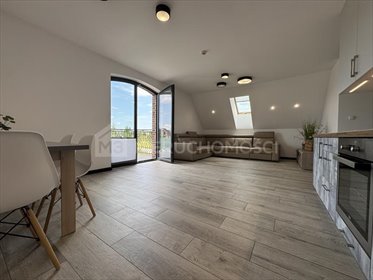 Wynajem 2-pok. mieszkania 55 m2, wysoki standard mieszkanie Rokocin, Brzozowa