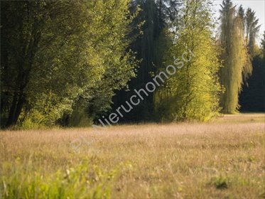 Leśna działka z MPZP pod zabudowę (1220 m²) w Strzeniówce działka Strzeniówka