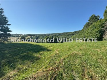 działka na sprzedaż 12066m2 działka Dziurdziów