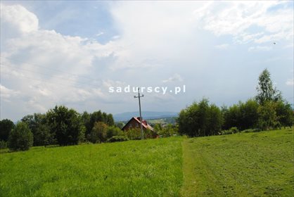 Działka leśna na sprzedaż Aleksandrów 50 000m2 Foto 1