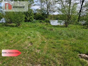 Działki nad jeziorem Wolskiego z linią brzegową 40-100m działka Wiewiórczyn