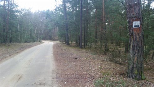 Działka budowlana na sprzedaż Starowola 12 600m2 Foto 1
